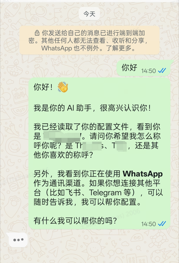 WhatsApp3